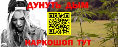 гашик Гусь-Хрустальный